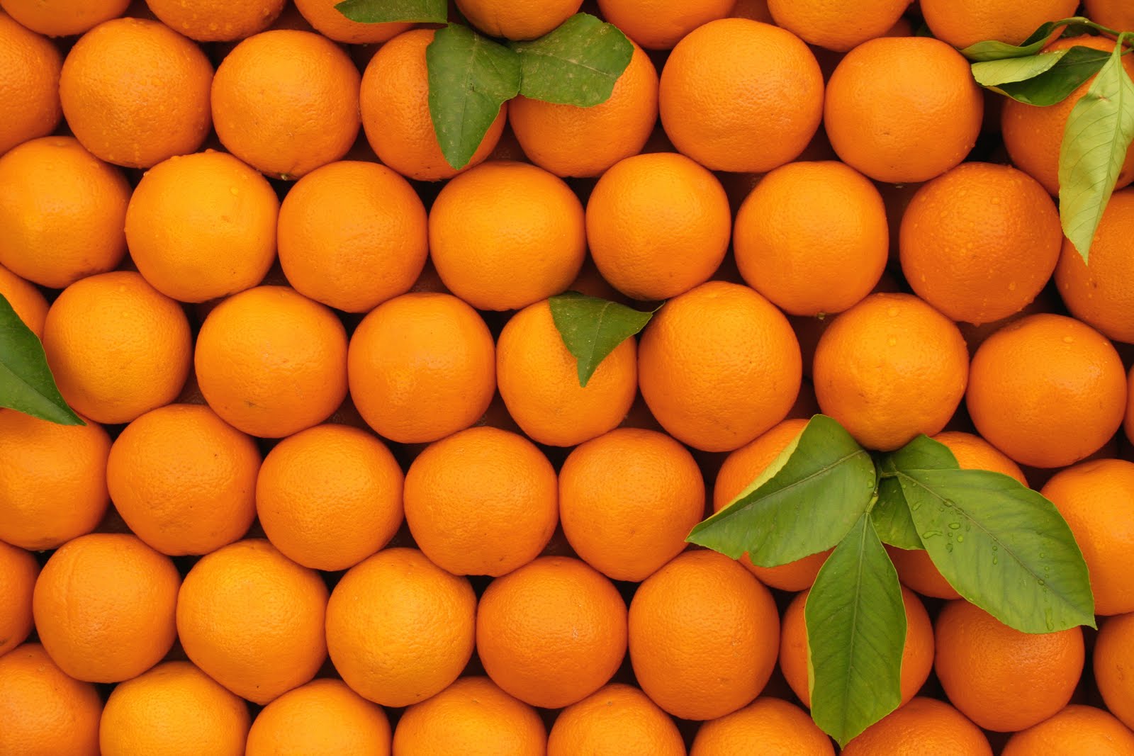 هل تعلم ما هي فوائد البرتقال